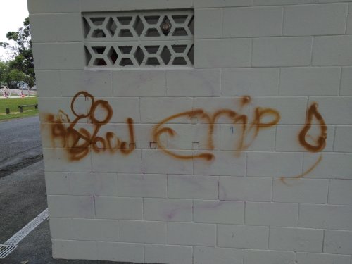 Recent spate of minor arson, vandalism and graffiti